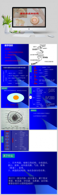 蛋的形成过程（蛋的形成过程和构造课件）-图1