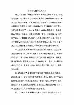 对政府过程中的过程（对政府过程中的过程评价）-图2