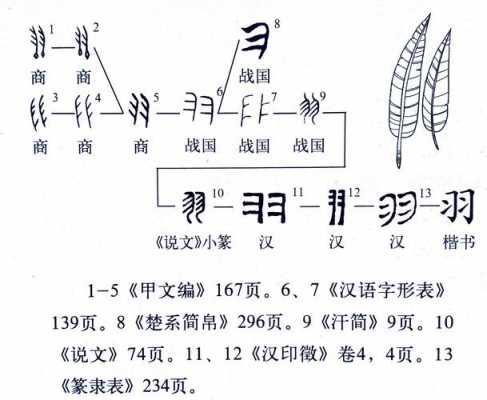 羽字形演变过程（羽的演变）-图3