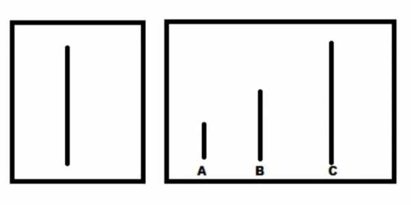 线段判断从众实验过程（线段知觉判断实验）-图1