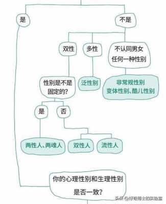 同性婚姻发展过程（同性婚姻发展过程包括）-图3