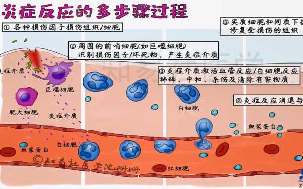 病理过程包括哪些（病理过程包括什么）-图1