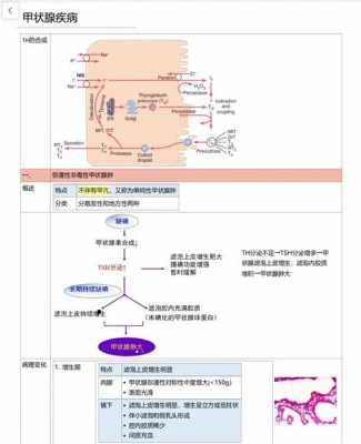 病理过程包括哪些（病理过程包括什么）-图3