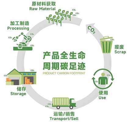 产品生命周期过程（产品生命周期全过程）-图3